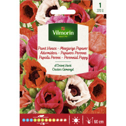 Semences de pavot Vivace d'Orient varié VILMORIN