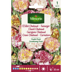 Semences d'oeillet Chabaud  Double Picoté VILMORIN
