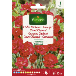 Semences d'oeillet Chabaud  Double rouge VILMORIN