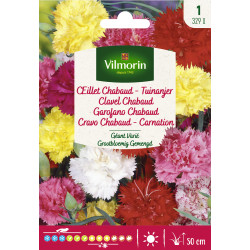 Semences d'oeillet Chabaud  Géant varié VILMORIN