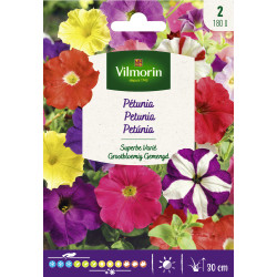 Semences de pétunia Superbe varié VILMORIN