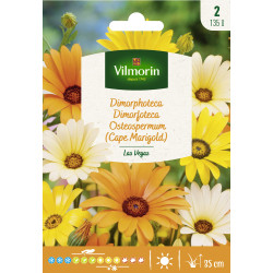 Semences de dimorphoteca Las-Vegas VILMORIN