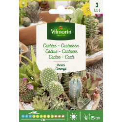 Semences de cactus variés VILMORIN