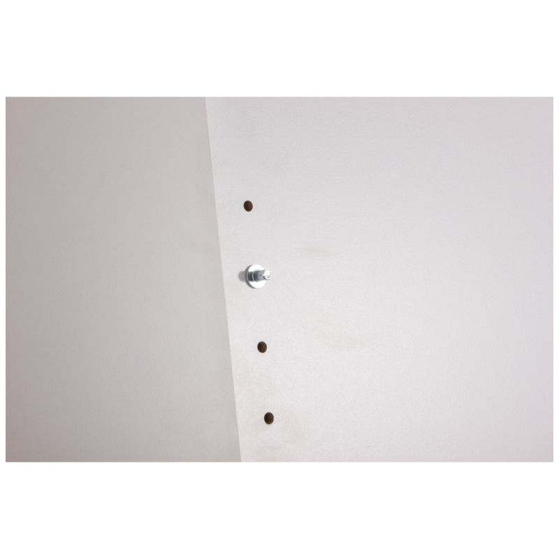 Taquet pour étagère en acier nickelé Ø 5 mm 96 pièces Taquet pour étagère en acier nickelé Ø 5 mm 96 pièces