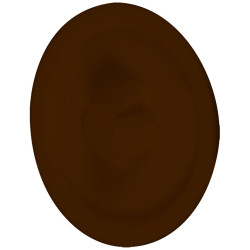 Cache pour vis cruciforme brun Ø 12 mm 16 pièces