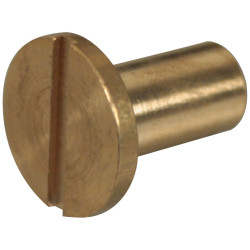 Ecrou borgne en laiton poli M6 4 pièces