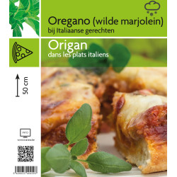 Origan en pot : Plante aromatique pour cuisine

