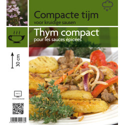 Thym compact en pot - Plante aromatique à cultiver

