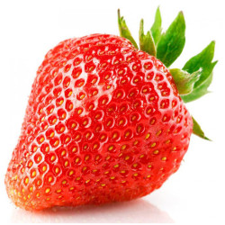 Fraisier Elsanta en pot - Plante à cultiver

