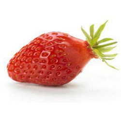 Fraisier Cirafine en pot - Plante à cultiver

