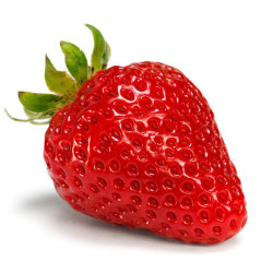 Fraisier Rabunda en pot - Plante à vendre

