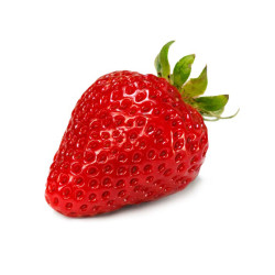 Fraisier Cirano en pot - Plante à vendre

