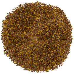Nourriture pour poissons de bassin Fish Mix granulés Universal Menu 3