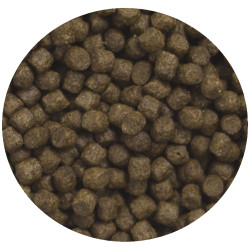Nourriture pour carpes Heiko Koï Energy Menu 1 L