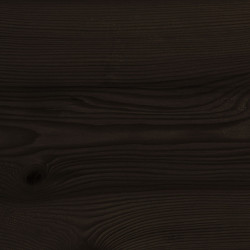 Lasure pour bois High Protect noir charbon 0