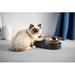 Double gamelle surélevée et ajustable Fresh Nano pour chat PETKIT Double gamelle surélevée et ajustable Fresh Nano pour chat PETKIT