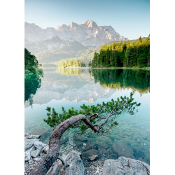 Impression plexiglas Branche sur le lac 80 x 120 cm CEANOTHE | CEANOTHE