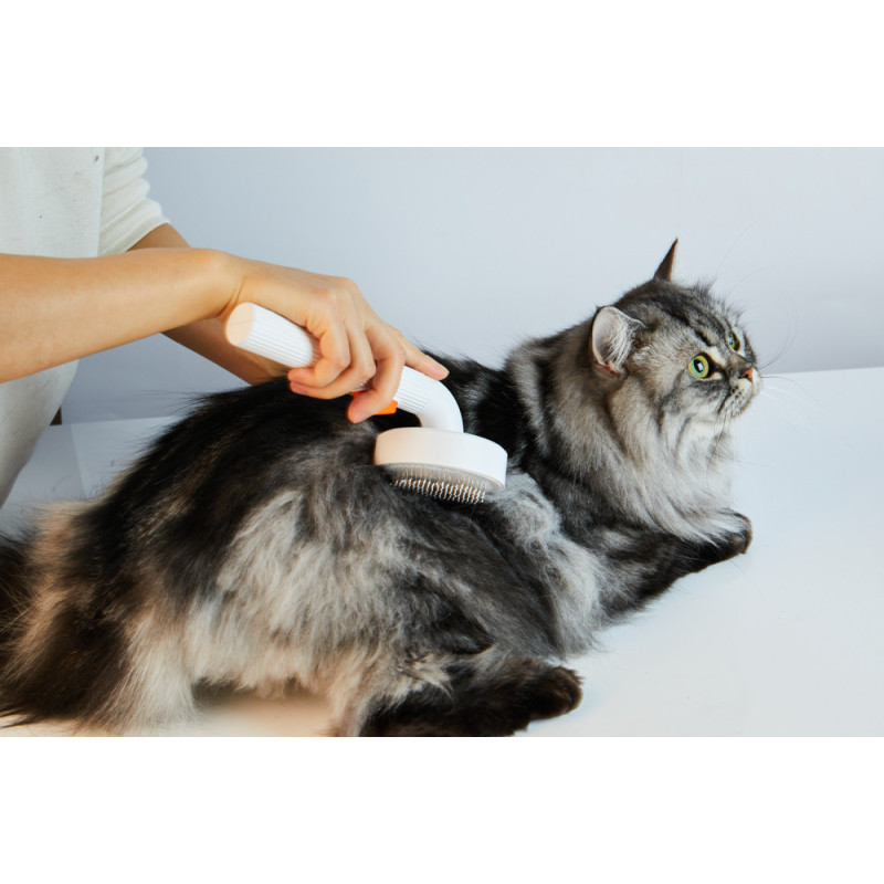 Brosse de toilettage pour chien et chat PETKIT Brosse de toilettage pour chien et chat PETKIT