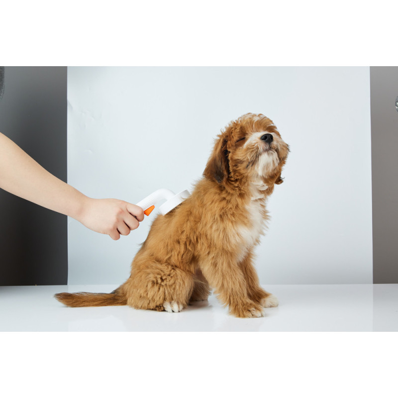 Brosse de toilettage pour chien et chat PETKIT Brosse de toilettage pour chien et chat PETKIT