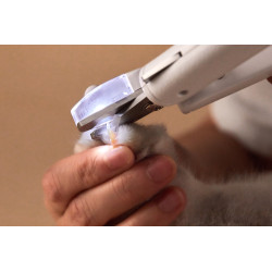Coupe-ongles pour chien et chat PETKIT Coupe-ongles pour chien et chat PETKIT