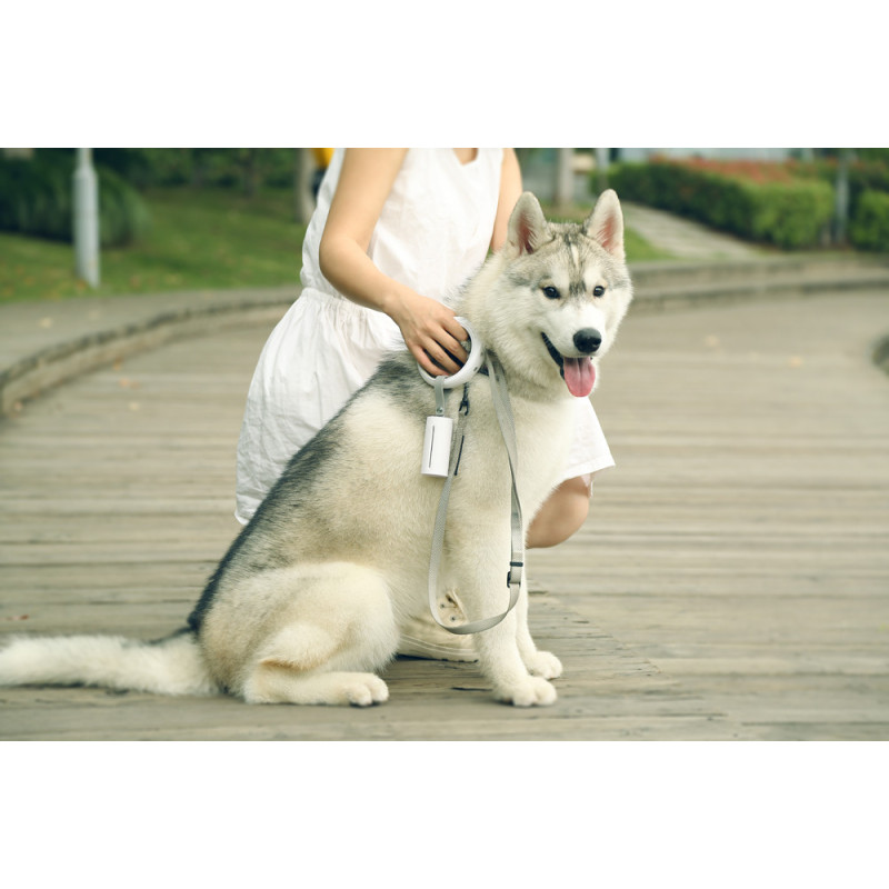 Distributeur de sachets hygiéniques pour chien PETKIT