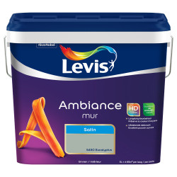 Peinture pour murs Ambiance Éucalyptus, fini satiné, 5 L | LEVIS