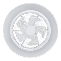 Ventilateur Plafond LED Vallonia RGB – Éclairage & Fraîcheur | EGLO