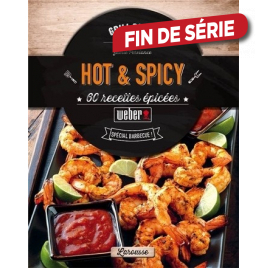 Livre "Hot et Spicy" WEBER
