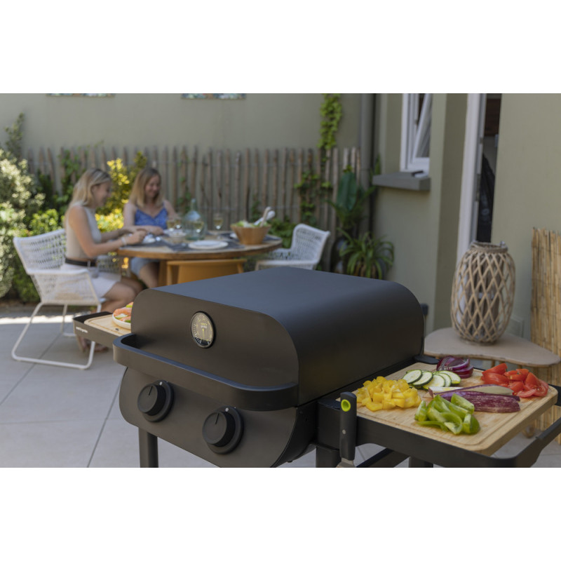 Barbecue électrique Flavo 50 SC COOK'IN GARDEN