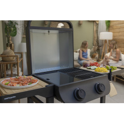 Barbecue électrique Flavo 50 SC COOK'IN GARDEN