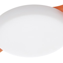 Spot encastrable LED Rapita blanc blanc chaud IP65 lm 4