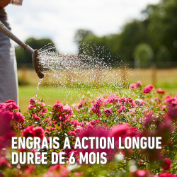 Engrais pour rosier 2 kg COMPO