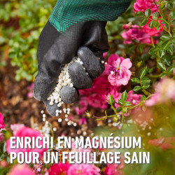 Engrais pour rosier 2 kg COMPO