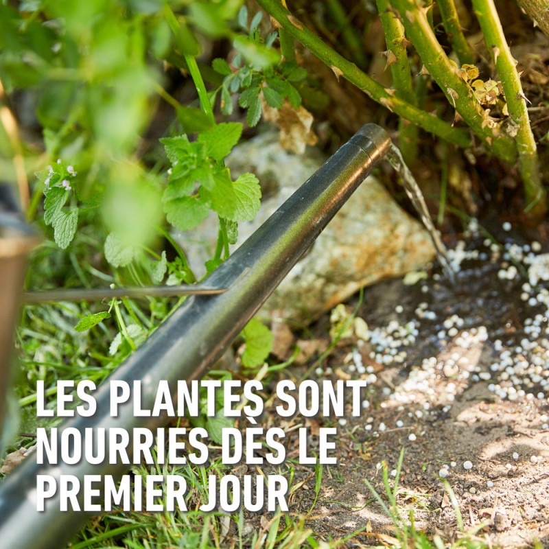 Engrais pour rosier 2 kg COMPO