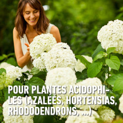 Engrais pour rhododendron 2 kg COMPO