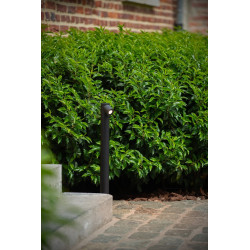 Borne extérieure LED Ibamba noire 6 W LUCIDE