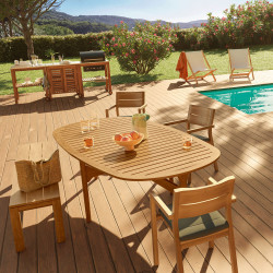 Huile Jardin Haute Protection Naturelle V33 1L | V33