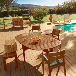 Huile Teck Haute Protection V33 pour mobilier de jardin 1 L | V33