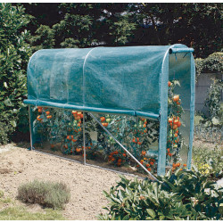 Serre tunnel Tomato Greenhouse 300 x 100 x 200 m NORTENE
