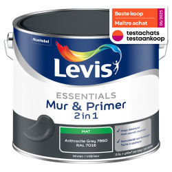 Peinture Murale Essentials Gris Anthracite 2-en-1 | LEVIS