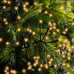 Guirlande grappe intérieure et extérieure 8 fonctions 1512 LED blanc classique 14 m