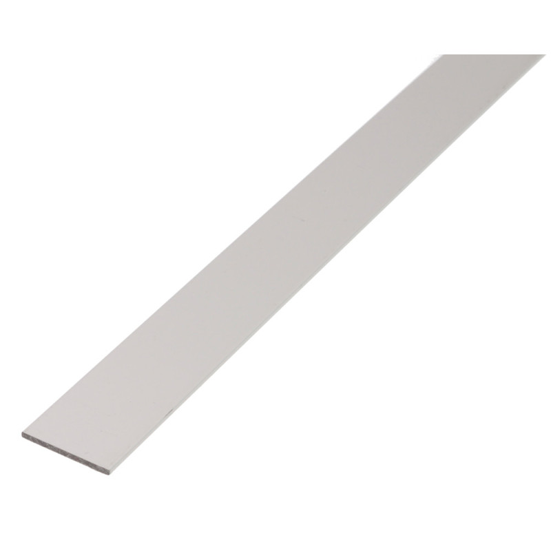 Profilé plat en aluminium anodisé 25 x 2 mm 1 m ALBERTS