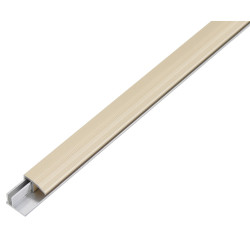 Barre de seuil Duo en aluminium anodisé sable 22 x 13 mm 1 m ALBERTS