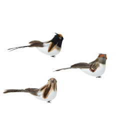 Oiseau en mousse à clipser DECORIS