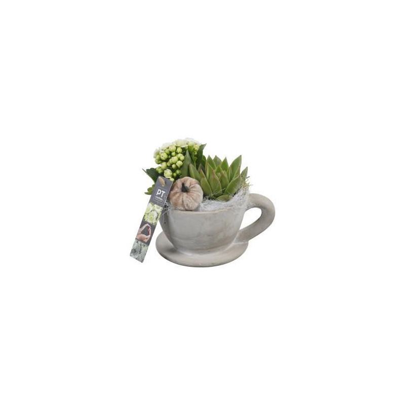 Inspirez-vous : compositions automnales pour un intérieur cozy