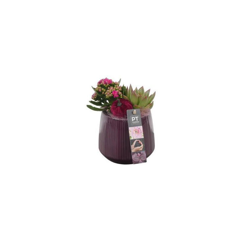 Inspirez-vous : compositions automnales pour un intérieur cozy