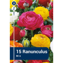 Bulbes de renoncules Mix 15 pièces