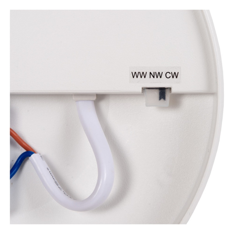 Plafonnier LED Olson – Éclairage Moderne | LUCIDE