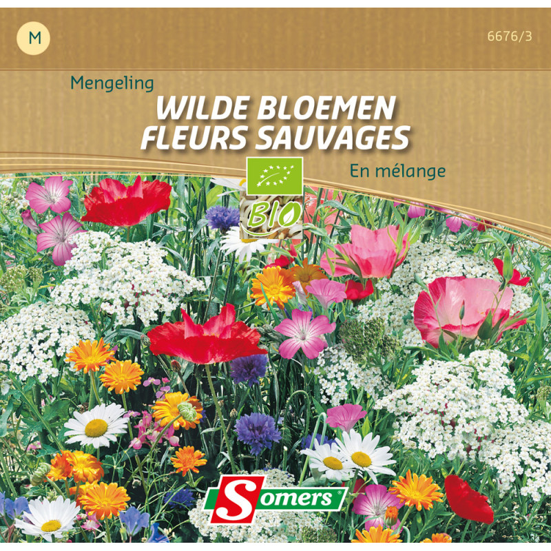 Mr Bricolage image produit pour l'impression