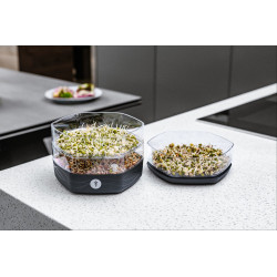 Tour de germination – Facilitez vos semis | Jardinage